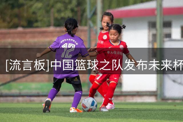 [流言板]中国篮球之队发布未来杯片段：以队友之名默契连线